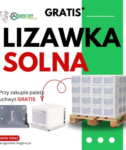 Lizawka solna QEMETICA Mineral Block Basic
