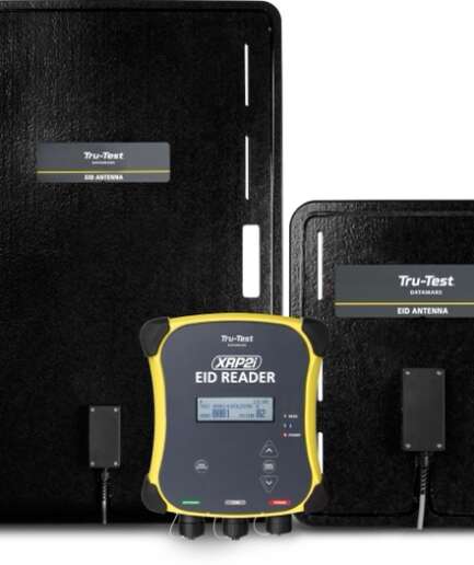 Czytnik Tru-Test XRP2i