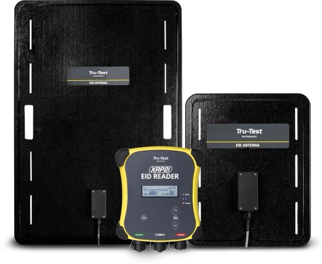 Czytnik Tru-Test XRP2i