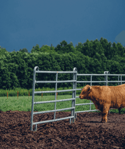 Panele i wygrodzenia