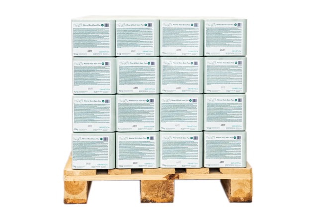 Lizawka solna QEMETICA Mineral Block Basic Plus 10 kg - obrazek 3