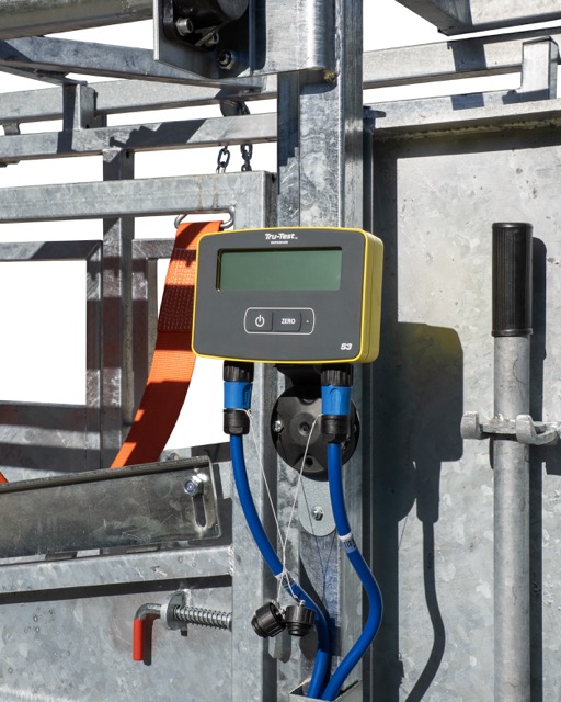 Poskrom weterynaryjny z wagą – dla bydła i byków | Agromet Mogilno - obrazek 9