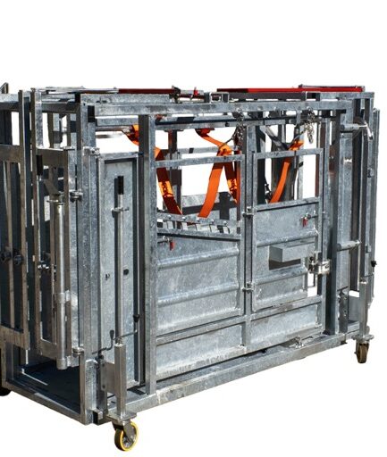 Poskrom weterynaryjny z wagą – dla bydła i byków | Agromet Mogilno